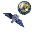 249.webp