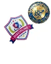 415.webp