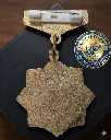 Premium NCC Plain Gold Medal with Customizable Plate and Safety Back Pin.webp