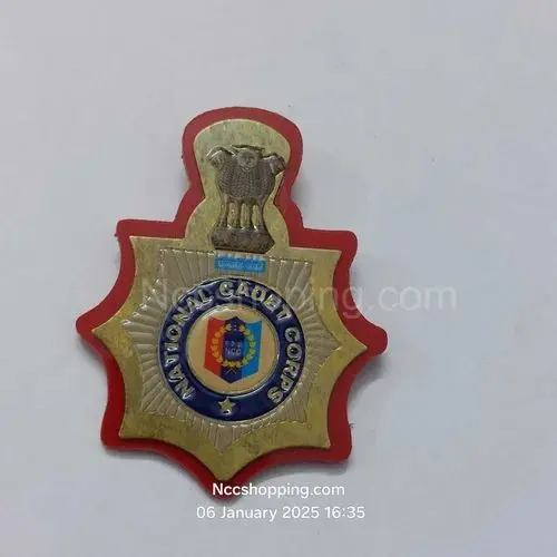 [OLD-138] National Cadet Corps NCC badge