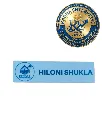 Premium Custom Metal Company Badge Employee Name Badge Corporate Logo Badge with magnet