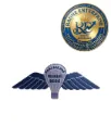 Parasailing Metal Badge Custom Event & Training Camp Enamel Badge Wing Design Lapel Pin