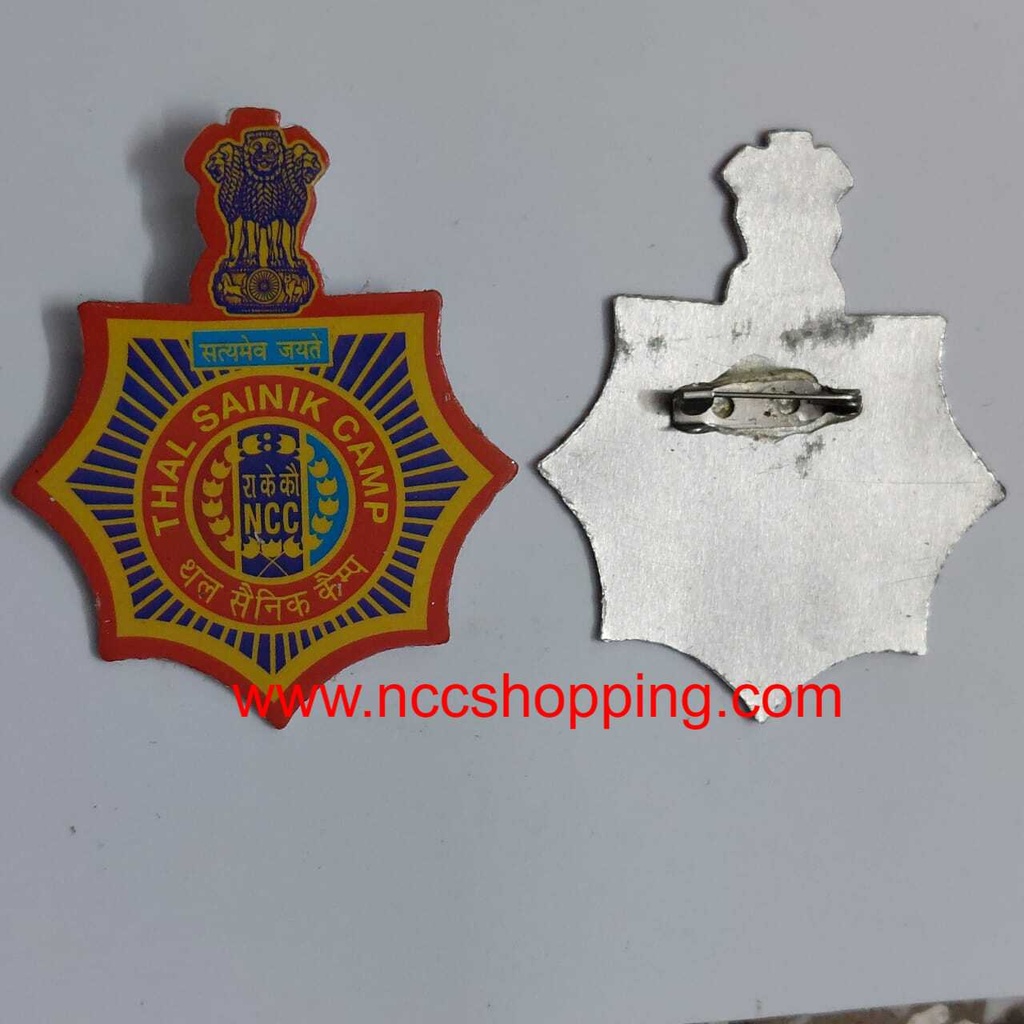 Thal Sainik camp Ncc Badge