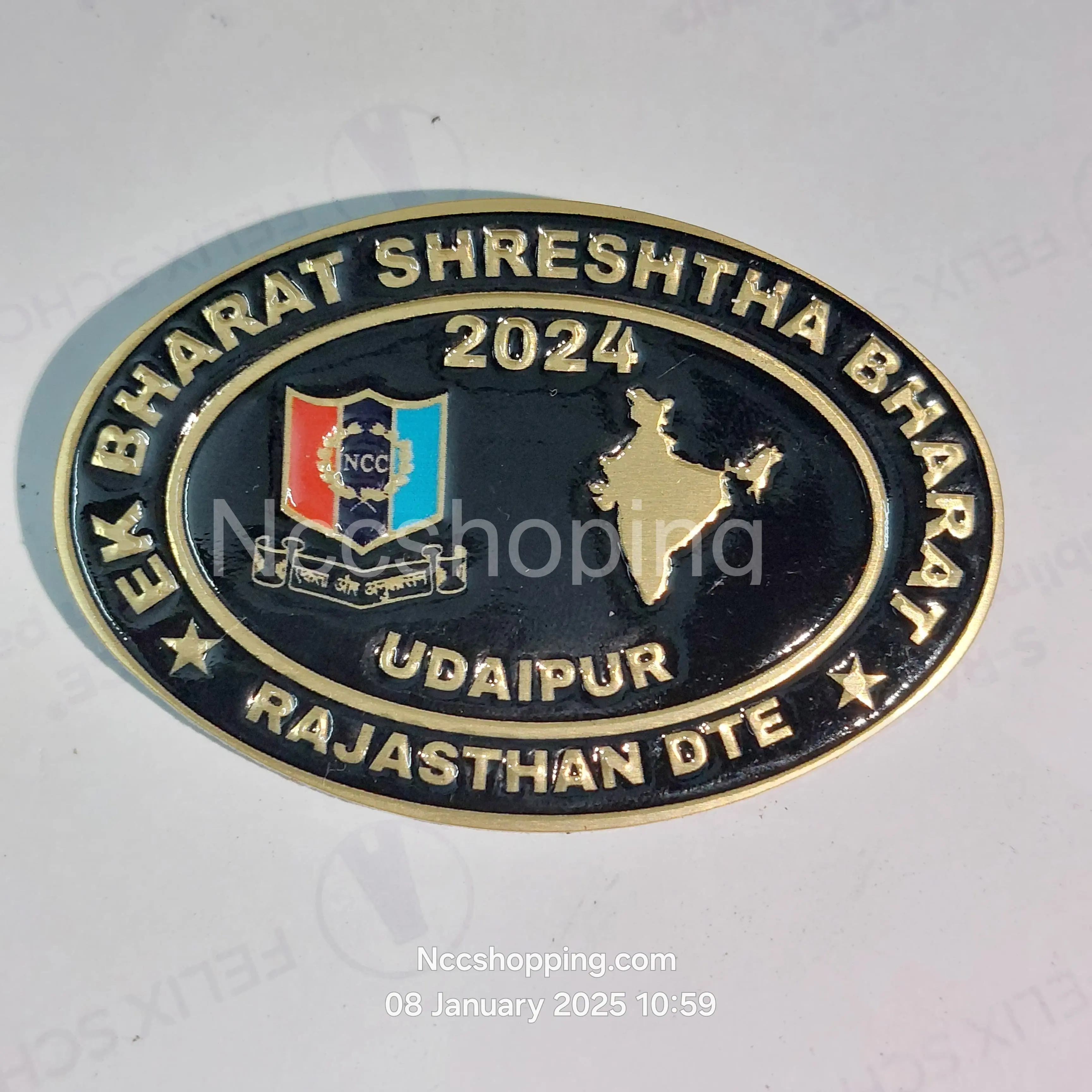 Ek Bharat shreshth Bharat 2024 Udaipur Rajasthan DTE NCC batch