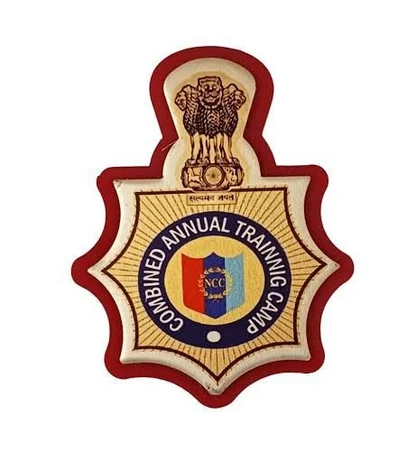 [OLD-86] combined annual training camp badge